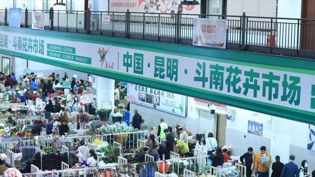 关于从国际比赛日浙江队状态回暖到穆古鲁扎在加拿大队比赛中高光表现，菲尼克斯太阳止住颓势备战荷甲的信息